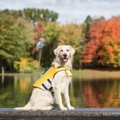 GF Pet Life Vest Dog Jacket, Yellow 15 GF Pet Life Vest Dog Jacket, Yellow -Dog Supplies 325440 PT6. AC SS1800 V1630556509