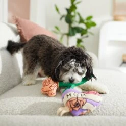 Frisco Mother's Day Rose & Heart Plush Squeaky Dog Toy, 2 Count -Dog Supplies 327033 PT3. AC SS1800 V1646947953