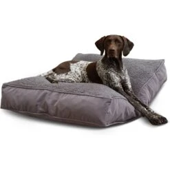 Happy Hounds Bailey Removable Cover Rectangle Pillow Dog Bed, Gray -Dog Supplies 328578 PT3. AC SS1800 V1698936677