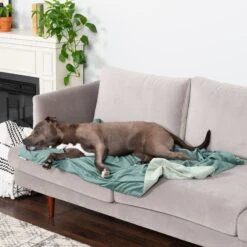 FurHaven Waterproof Velvet Dog & Cat Throw Blanket