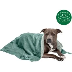 FurHaven Waterproof Velvet Dog & Cat Throw Blanket -Dog Supplies 330979 PT3. AC SS1800 V1637171796