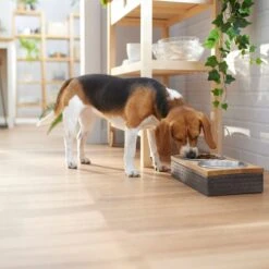 Frisco Premium Stainless Steel Double Diner Dog & Cat Bowl, Black -Dog Supplies 331532 PT2. AC SS1800 V1657656874