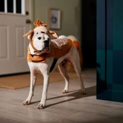 Frisco Deer Dog & Cat Costume 14 Frisco Deer Dog & Cat Costume -Dog Supplies 334874 PT7. AC SS1800 V1657720507
