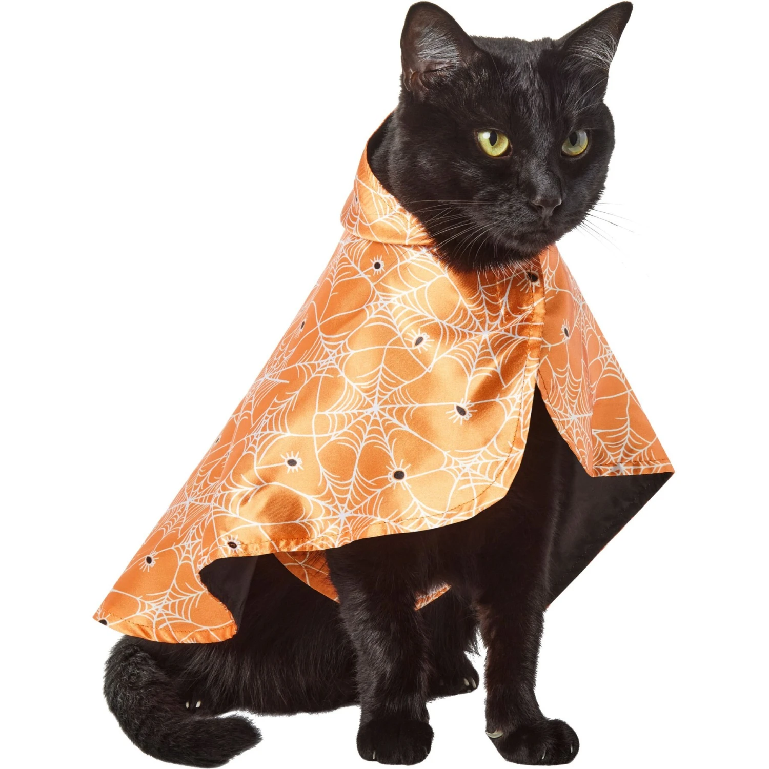 Frisco Spider Webbed Dog & Cat Costume Cape 5 Frisco Spider Webbed Dog & Cat Costume Cape - Image 3