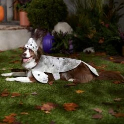 Frisco Seal Dog & Cat Costume 14 Frisco Seal Dog & Cat Costume -Dog Supplies 334983 PT7. AC SS1800 V1657730462