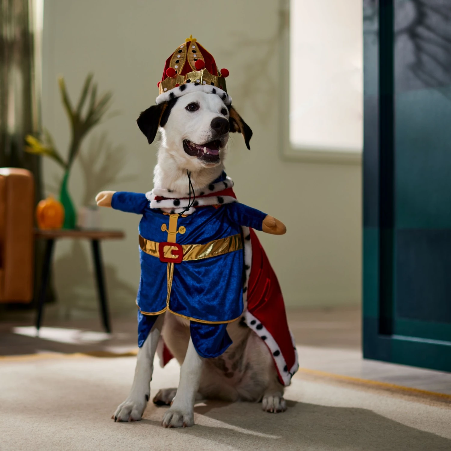 Frisco Front Walking Royal King Dog & Cat Costume 9 Frisco Front Walking Royal King Dog & Cat Costume - Image 7