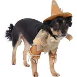 Frisco Front Walking Scarecrow Dog & Cat Costume 13 Frisco Front Walking Scarecrow Dog & Cat Costume -Dog Supplies 335135 PT3. AC SS1800 V1658349680