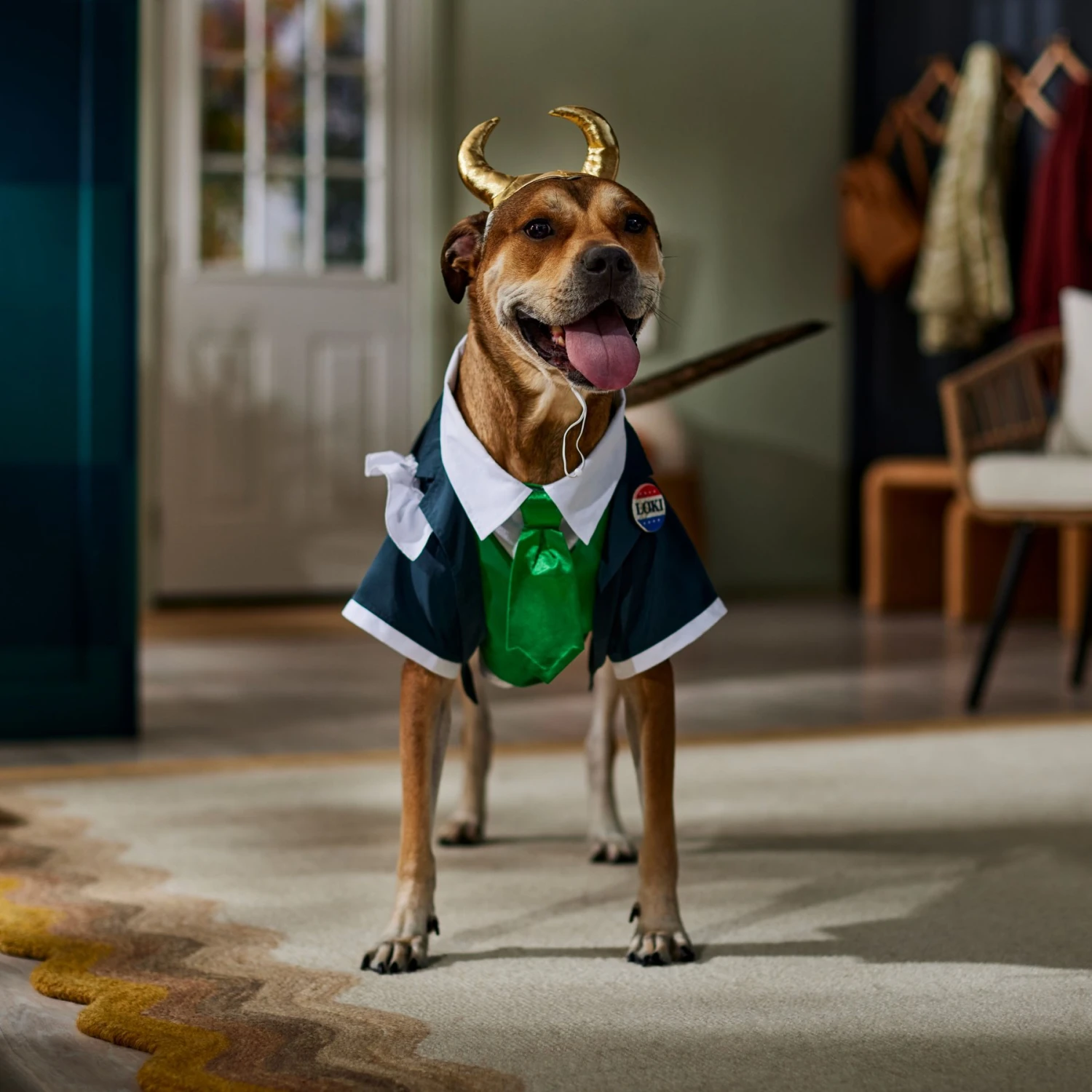 Marvel 's Loki President Dog & Cat Costume 8 Marvel 's Loki President Dog & Cat Costume - Image 6