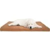 Pet Adobe Foam Covered Dog Bed 2 Pet Adobe Foam Covered Dog Bed -Dog Supplies 344921 MAIN. AC SS1800 V1637283134