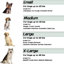 Pet Adobe Foam Covered Dog Bed 13 Pet Adobe Foam Covered Dog Bed -Dog Supplies 344921 PT4. AC SS1800 V1637283704