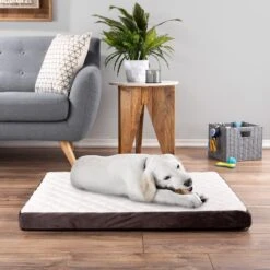 Pet Adobe Bamboo Charcoal-Infused Foam Covered Dog Bed 15 Pet Adobe Bamboo Charcoal-Infused Foam Covered Dog Bed -Dog Supplies 344923 PT5. AC SS1800 V1637280823