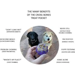 SodaPup Cross Bones Treat Pocket Dog Toy 12 SodaPup Cross Bones Treat Pocket Dog Toy -Dog Supplies 346959 PT2. AC SS1800 V1638306085