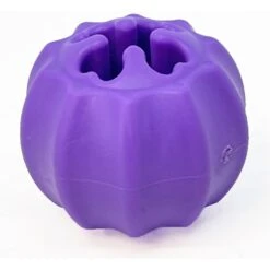 SodaPup Cross Bones Treat Pocket Dog Toy 14 SodaPup Cross Bones Treat Pocket Dog Toy -Dog Supplies 346959 PT4. AC SS1800 V1638307034