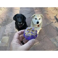 SodaPup Cross Bones Treat Pocket Dog Toy 15 SodaPup Cross Bones Treat Pocket Dog Toy -Dog Supplies 346959 PT5. AC SS1800 V1638312103