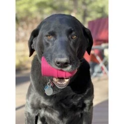 SodaPup Ice Cream Cone Treat Dispenser Dog Toy 11 SodaPup Ice Cream Cone Treat Dispenser Dog Toy -Dog Supplies 347020 PT1. AC SS1800 V1638305210