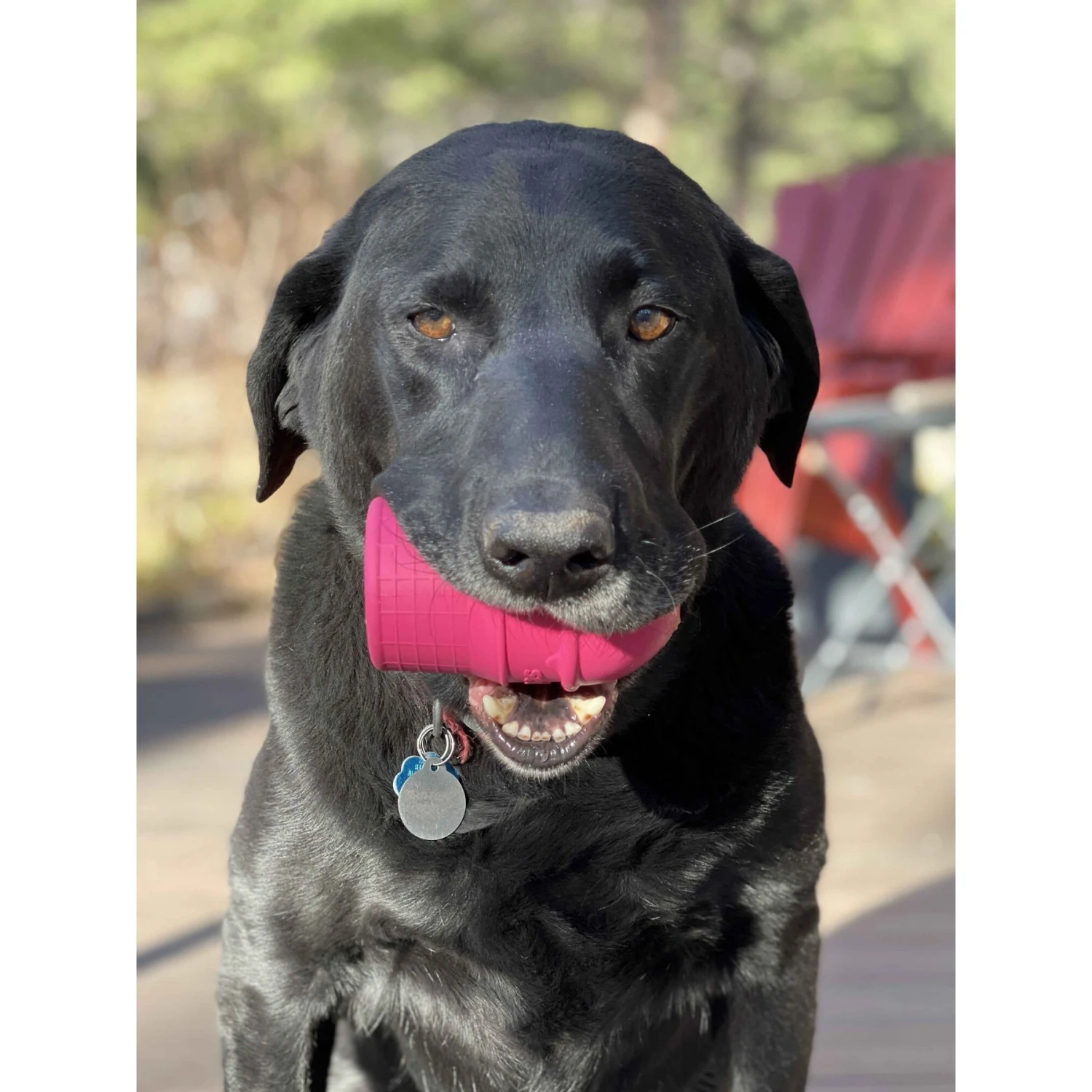 SodaPup Ice Cream Cone Treat Dispenser Dog Toy 4 SodaPup Ice Cream Cone Treat Dispenser Dog Toy - Image 2