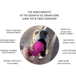 SodaPup Ice Cream Cone Treat Dispenser Dog Toy 12 SodaPup Ice Cream Cone Treat Dispenser Dog Toy -Dog Supplies 347020 PT2. AC SS1800 V1638306096