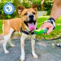 Sweet Paws Chunky Wearable Puppy Teether Stack Dog Toy, 2 Count -Dog Supplies 347877 PT7. AC SS1800 V1660773259