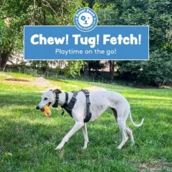 Sweet Paws Chunky Wearable Puppy Teether Dog Toy -Dog Supplies 347880 PT3. AC SS1800 V1660772455