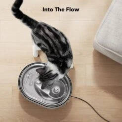 Petlibro Stainless Steel Dog & Cat Water Fountain, 2-L -Dog Supplies 352550 PT8. AC SS1800 V1689084885