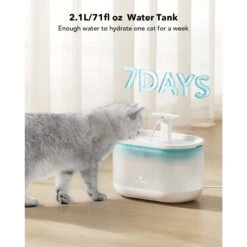 Petlibro Capsule Automatic Dog & Cat Water Fountain, 2-L -Dog Supplies 352552 PT6. AC SS1800 V1694184632