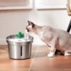 Frisco Stainless Steel Cactus & Leaf Dog & Cat Fountain 2 Frisco Stainless Steel Cactus & Leaf Dog & Cat Fountain -Dog Supplies 355814 MAIN. AC SS1800 V1665684257