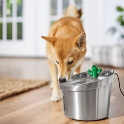 Frisco Stainless Steel Cactus & Leaf Dog & Cat Fountain -Dog Supplies 355814 PT5. AC SS1800 V1665683869