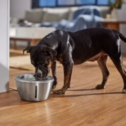 Frisco Stainless Steel Heart Dog & Cat Fountain 14 Frisco Stainless Steel Heart Dog & Cat Fountain -Dog Supplies 355816 PT5. AC SS1800 V1665684540