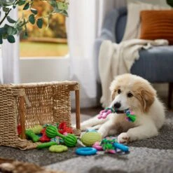 Frisco Small Breed Puppies Rope & TPR Variety Pack Puppy Toy 10 Frisco Small Breed Puppies Rope & TPR Variety Pack Puppy Toy -Dog Supplies 358552 PT4. AC SS1800 V1669908588