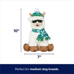 Dog Supplies -Dog Supplies 360924 PT1. AC SS1800 V1695046159