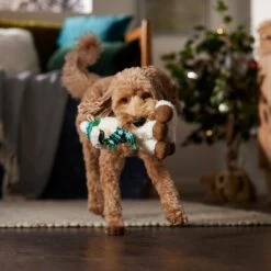 Frisco Holiday Fa La La Llama Plush Squeaky Dog Toy 9 Frisco Holiday Fa La La Llama Plush Squeaky Dog Toy -Dog Supplies 360924 PT3. AC SS1800 V1661874373
