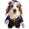 Pet Krewe Sesame Street The Count Dog Costume -Dog Supplies 361125 MAIN. AC SS1800 V1649195836