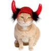 Pet Krewe Cat Devil Red Hat Dog Costume, One Size 1 Pet Krewe Cat Devil Red Hat Dog Costume, One Size -Dog Supplies 361138 MAIN. AC SS1800 V1648073515