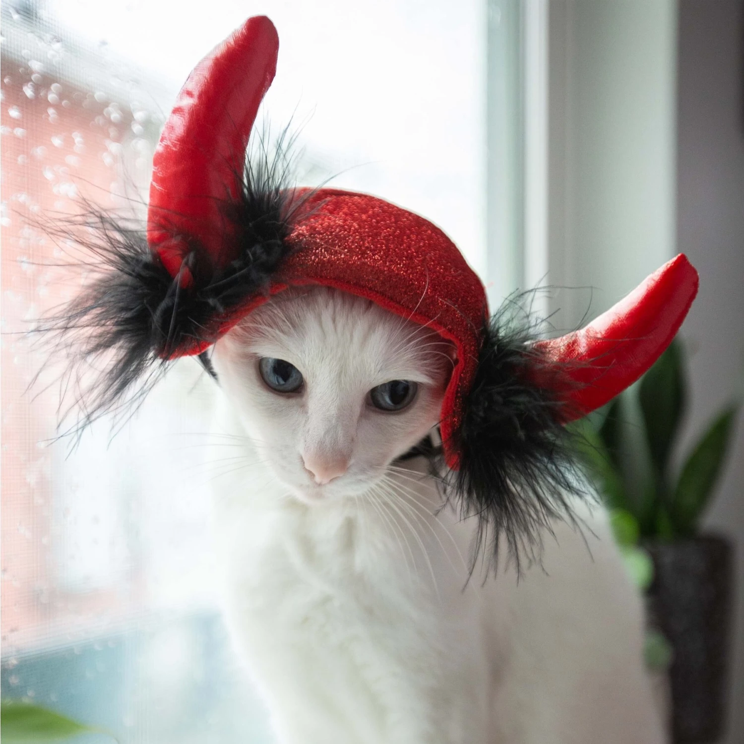 Pet Krewe Cat Devil Red Hat Dog Costume, One Size 9 Pet Krewe Cat Devil Red Hat Dog Costume, One Size - Image 7