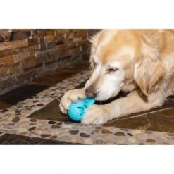 Hugglehounds Okko Tuffut-Flex Ball Dog Toy, Blue -Dog Supplies 362021 PT7. AC SS1800 V1644022995