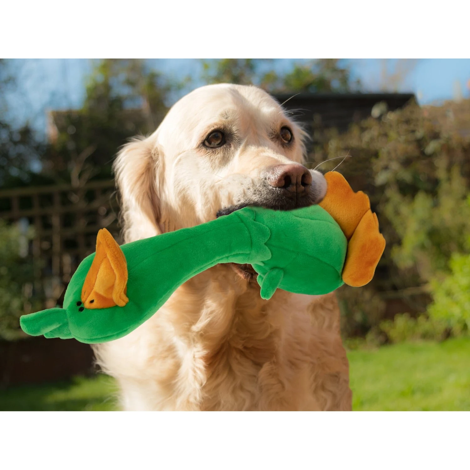 TrustyPup Long Neck Duck Dog Toy, Green, Large 7 TrustyPup Long Neck Duck Dog Toy, Green, Large - Image 5