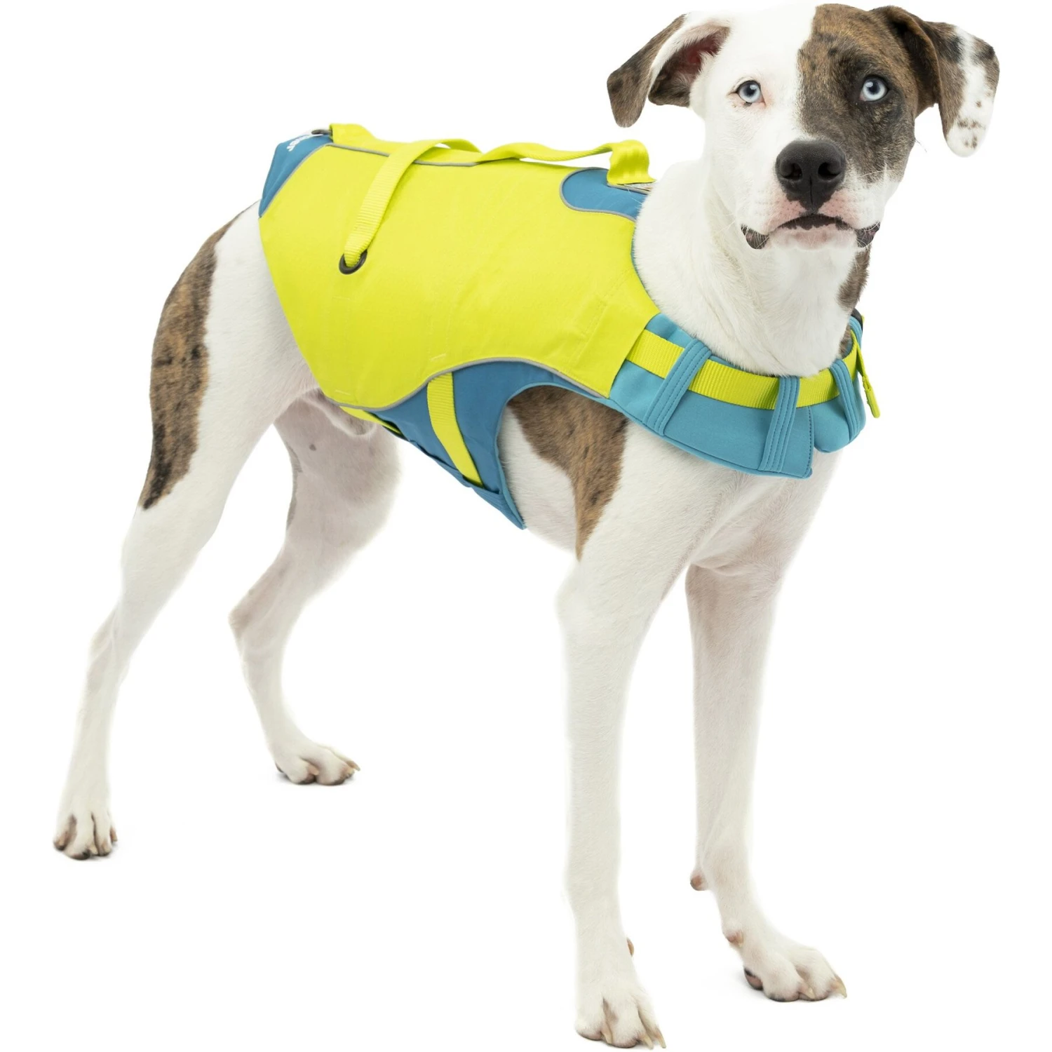 Kurgo Surf-n-Turf Dog Life Jacket 3 Kurgo Surf-n-Turf Dog Life Jacket