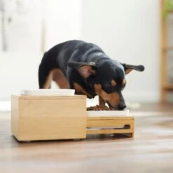 Frisco Elevated Non-Skid Bamboo Melamine Bowl Double Diner With Bamboo Stand 9 Frisco Elevated Non-Skid Bamboo Melamine Bowl Double Diner With Bamboo Stand -Dog Supplies 363385 PT5. AC SS1800 V1657657267