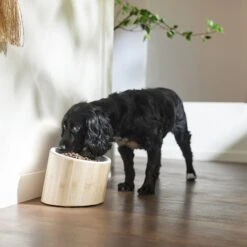 Frisco Elevated Slanted Bamboo Melamine Non-Skid Dog Bowl With Bamboo Stand -Dog Supplies 363387 PT2. AC SS1800 V1657657267