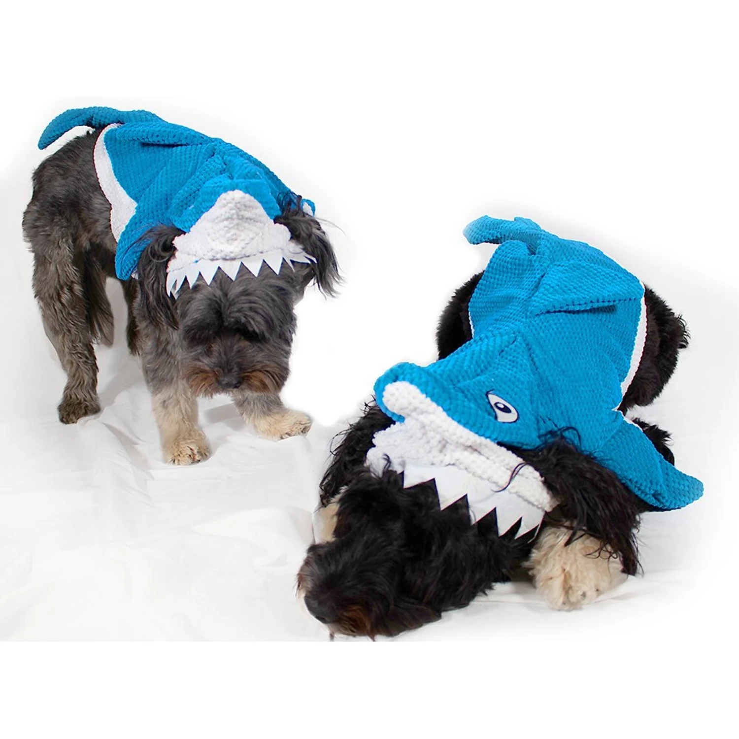 Royal Animals Shark Dog Costume 5 Royal Animals Shark Dog Costume - Image 3