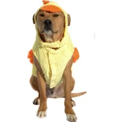 Royal Animals Chicken Dog Costume 8 Royal Animals Chicken Dog Costume -Dog Supplies 364474 PT2. AC SS1800 V1645643794