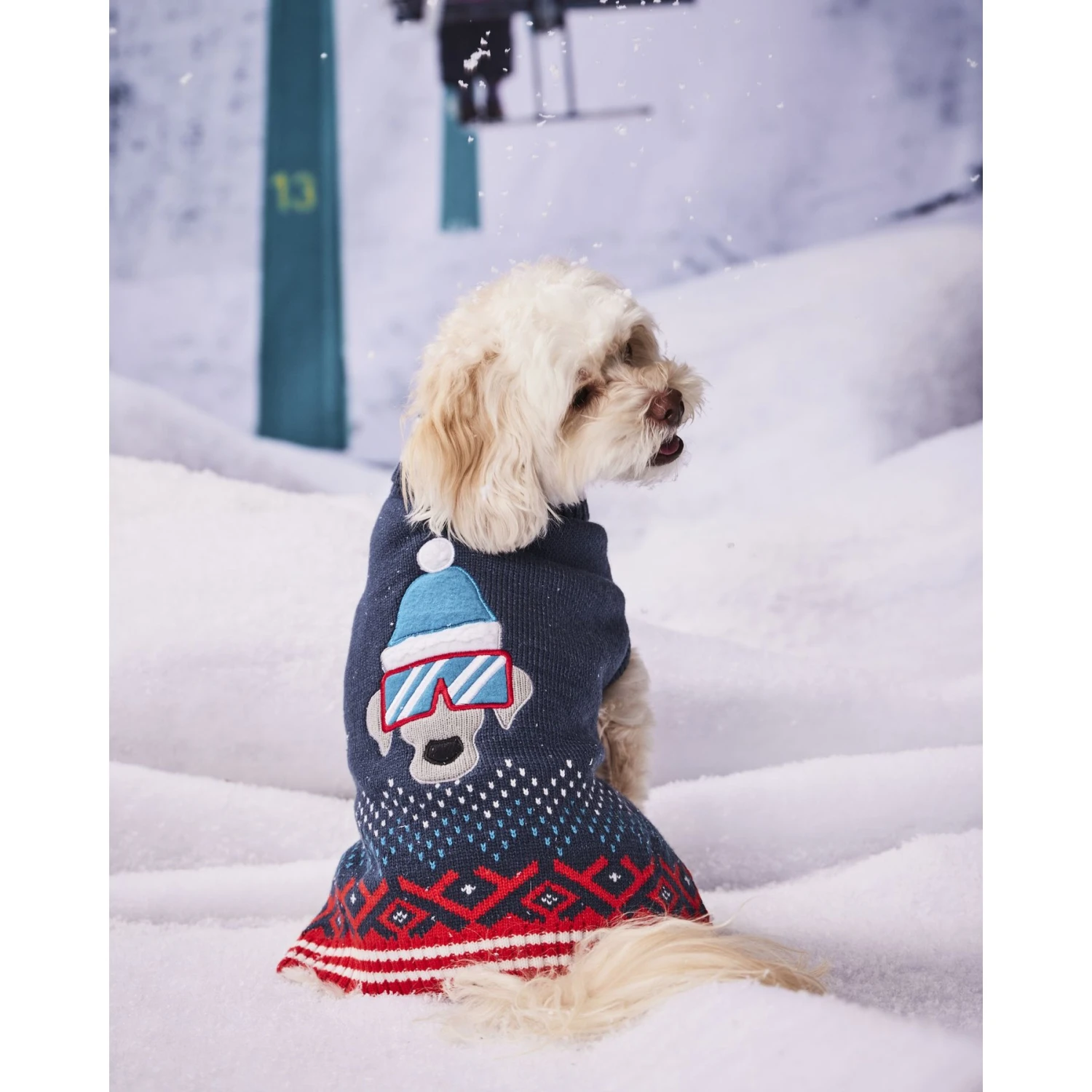Hotel Doggy Dog Sweater 2 Hotel Doggy Dog Sweater