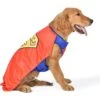 Fetch For Pets DC Comics Halloween Superman Dog Costume 2 Fetch For Pets DC Comics Halloween Superman Dog Costume -Dog Supplies 364649 MAIN. AC SS1800 V1659807990