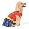 Fetch For Pets DC Comics Wonderwoman Halloween Dog Costume 2 Fetch For Pets DC Comics Wonderwoman Halloween Dog Costume -Dog Supplies 364656 MAIN. AC SS1800 V1659806907