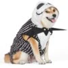 Fetch For Pets Disney Halloween Nightmare Before Christmas Jack Skellington Dog Costume 1 Fetch For Pets Disney Halloween Nightmare Before Christmas Jack Skellington Dog Costume -Dog Supplies 364742 MAIN. AC SS1800 V1659807858