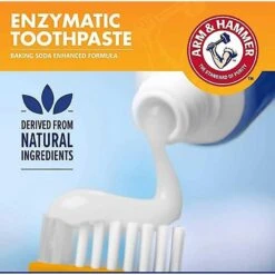 ARM & HAMMER PRODUCTS Tartar Control Vanilla-Ginger Flavored Enzymatic Puppy Dental Training Kit & Nylabone Puppy Pacifier Teething Toy Chew Teething Pacifier Bacon -Dog Supplies 365506 PT3. AC SS1800 V1644022313