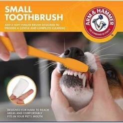 ARM & HAMMER PRODUCTS Tartar Control Vanilla-Ginger Flavored Enzymatic Puppy Dental Training Kit & Nylabone Puppy Pacifier Teething Toy Chew Teething Pacifier Bacon -Dog Supplies 365506 PT4. AC SS1800 V1644020831