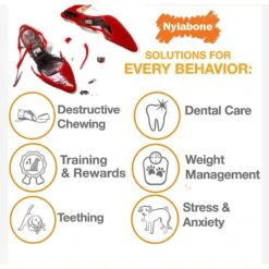 ARM & HAMMER PRODUCTS Tartar Control Vanilla-Ginger Flavored Enzymatic Puppy Dental Training Kit & Nylabone Puppy Pacifier Teething Toy Chew Teething Pacifier Bacon -Dog Supplies 365506 PT7. AC SS1800 V1644020812
