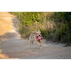 Fetch For Pets Harry Potter 9 3/4 Platform Frisbee Dog Toy 10 Fetch For Pets Harry Potter 9 3/4 Platform Frisbee Dog Toy -Dog Supplies 367785 PT3. AC SS1800 V1645221773