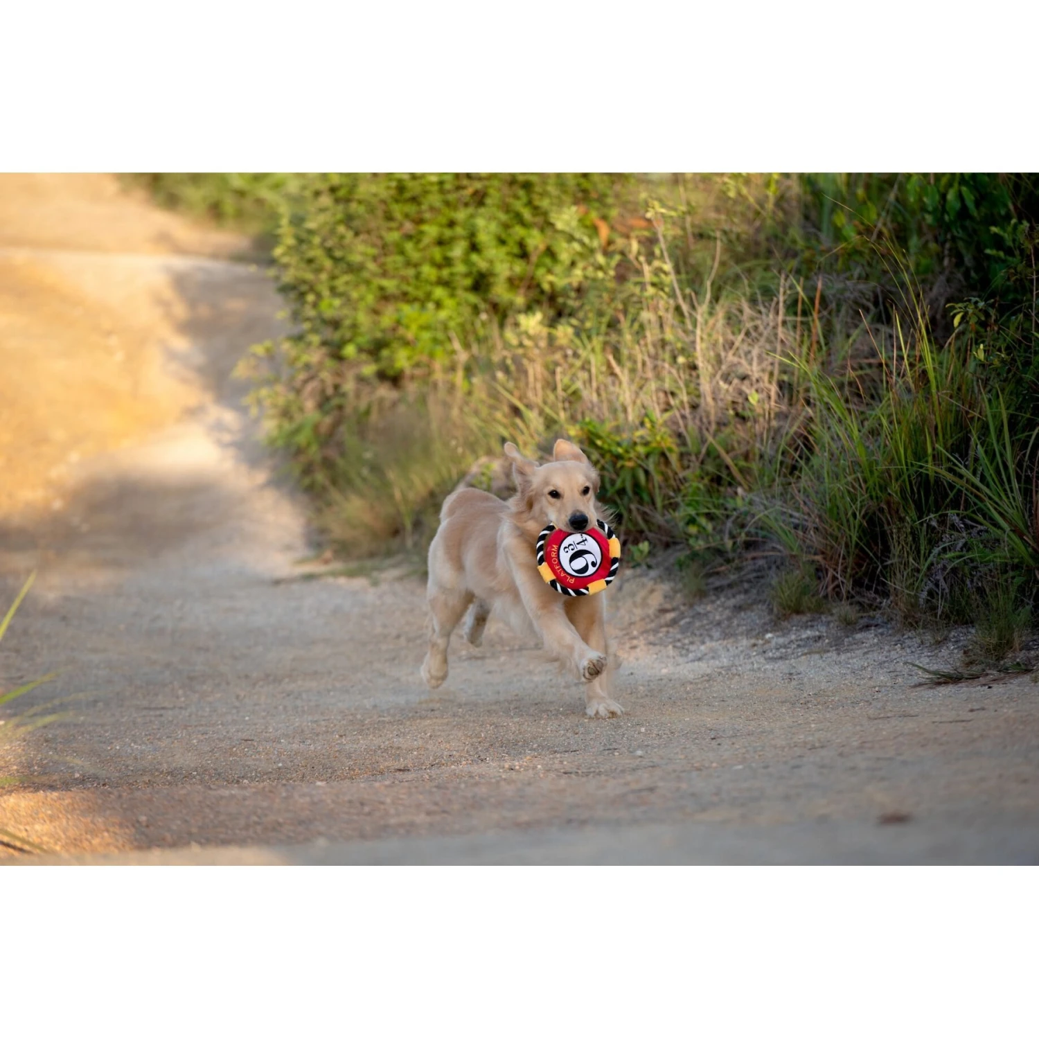 Fetch For Pets Harry Potter 9 3/4 Platform Frisbee Dog Toy 6 Fetch For Pets Harry Potter 9 3/4 Platform Frisbee Dog Toy - Image 4